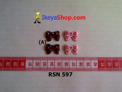 rsn 597  large2